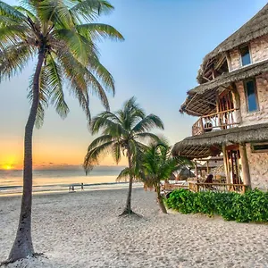 https://alaya-tulum.allrivieramayahotels.com